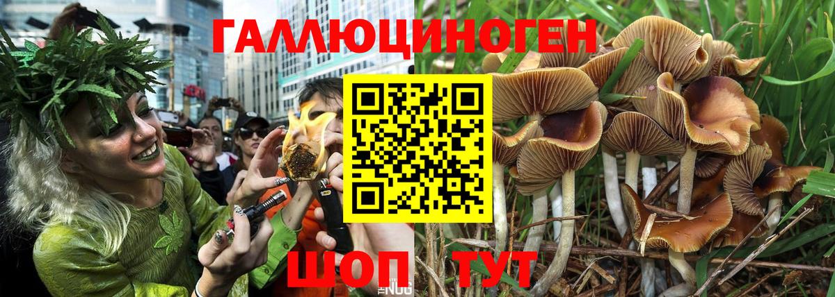 цены   Галлюциногенные грибы MAGIC MUSHROOMS  Вход с VPN  Дедовск 
