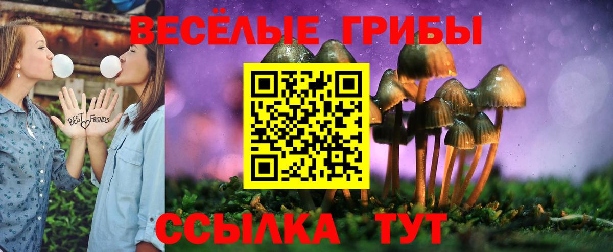 Галлюциногенные грибы мицелий Дедовск