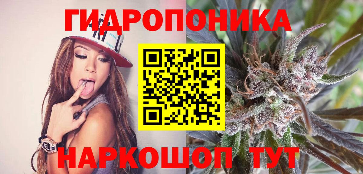 МАРИХУАНА сатива Дедовск